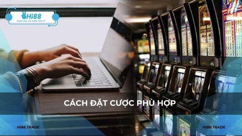 Cách đặt cược phù hợp