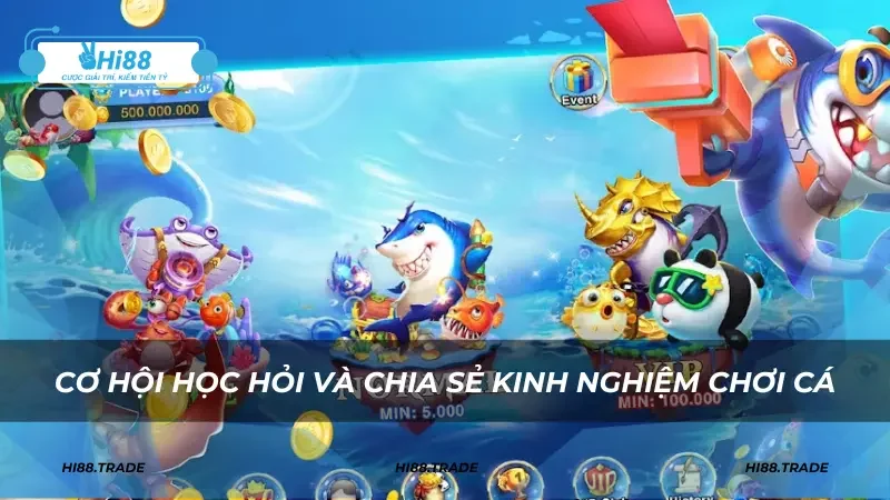 Cơ hội học hỏi và chia sẻ kinh nghiệm chơi cá