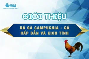 da-ga-campuchia-thumnail