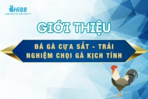 da-ga-cua-sat-thumnail