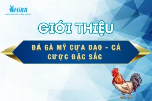 da-ga-my-cua-dao-thumnail