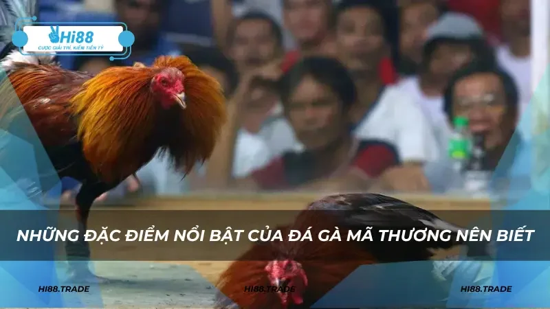 Những đặc điểm nổi bật của đá gà mã thương nên biết