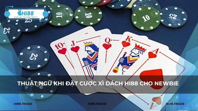 Thuật ngữ khi đặt cược xì dách cho newbie