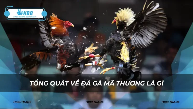 Tổng quát về đá gà mã thương là gì