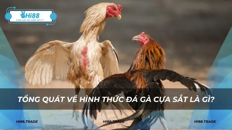 Tổng quát về hình thức đá gà cựa sắt là gì?