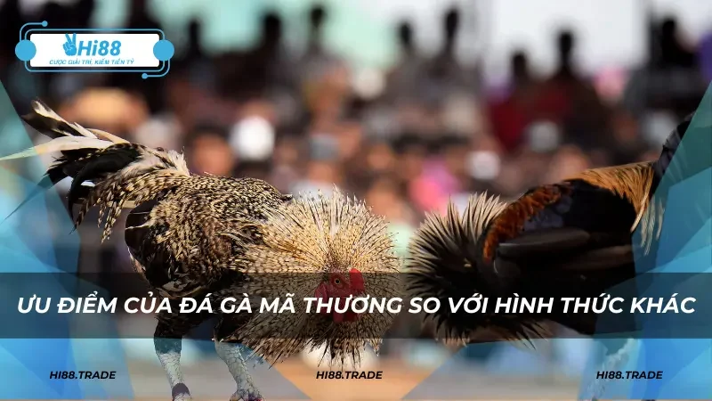Ưu điểm của đá gà mã thương so với hình thức khác
